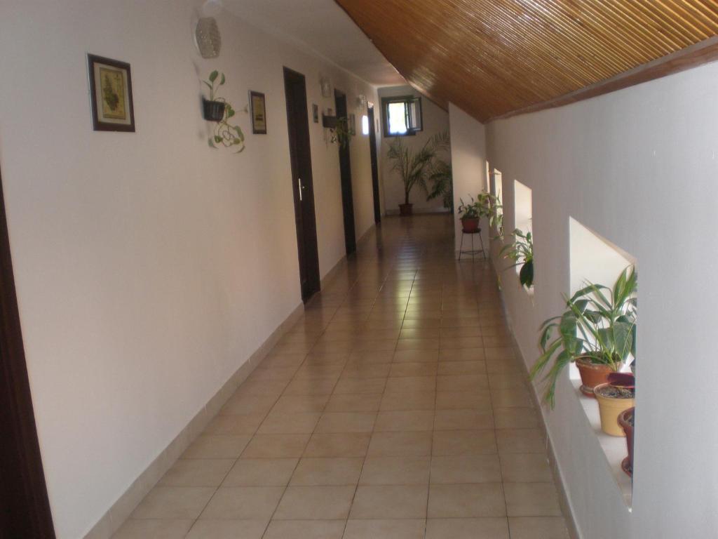 Szekely Vendeghaz Hotel Esztergom Buitenkant foto